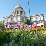 The Jobs London Homeowners Keep Putting Off Until Autumn